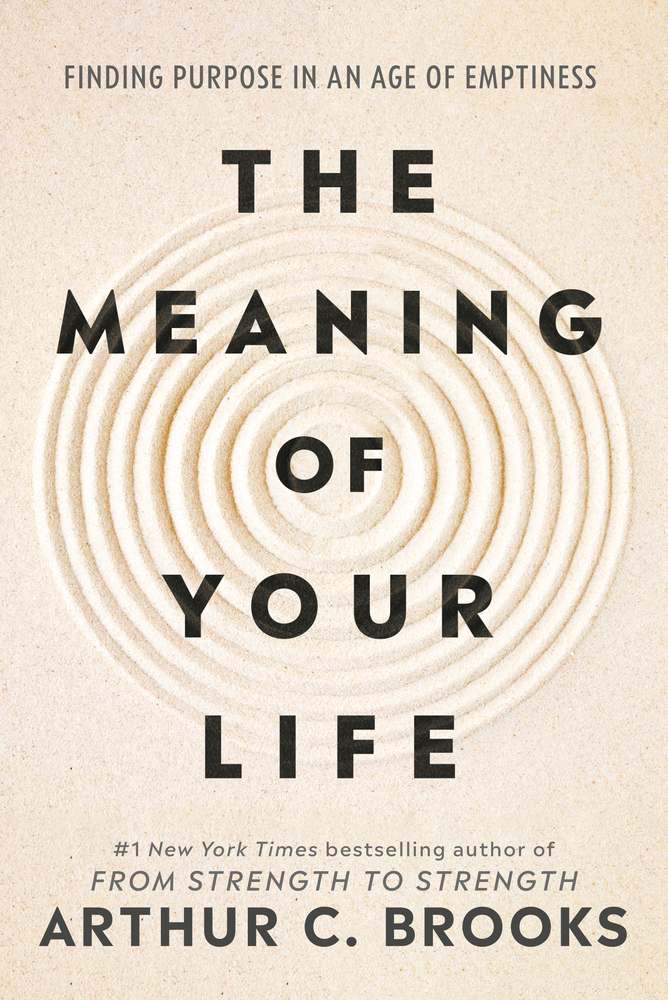 The Meaning of Your Life book cover