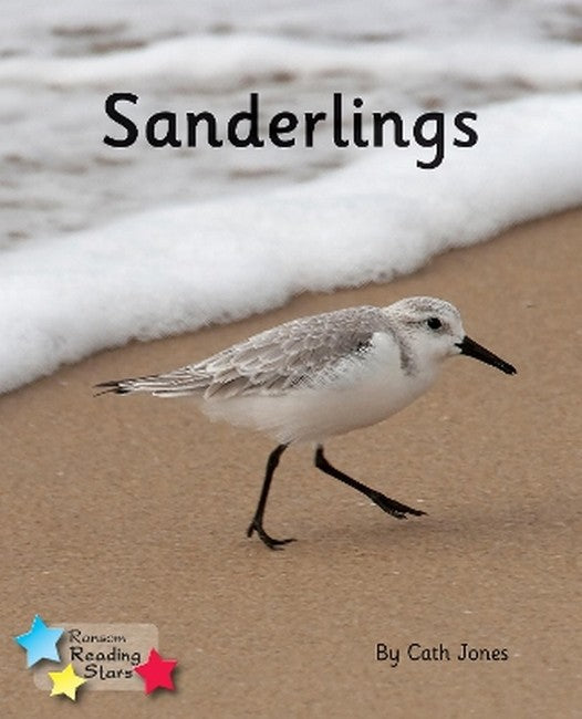Sanderlings cover