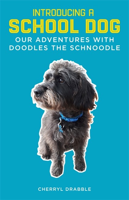 Introducing a School Dog: Our Adventures with Doodles the Schnoodle: