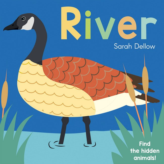 Now You See It! River cover