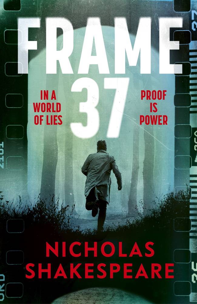 Frame 37 book cover