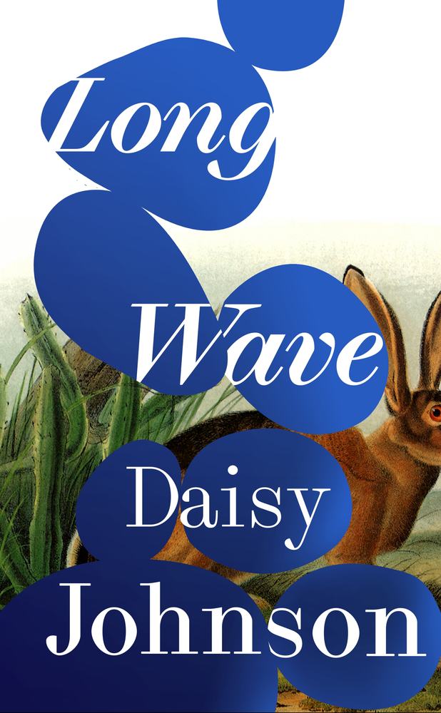Long Wave book cover