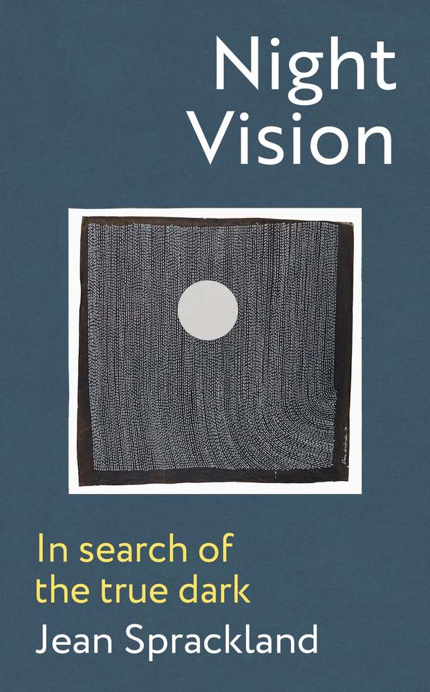 Night Vision book cover