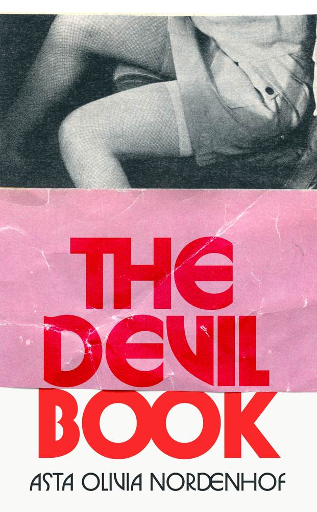The Devil Book book cover