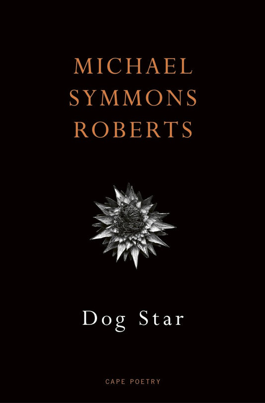 Dog Star book cover