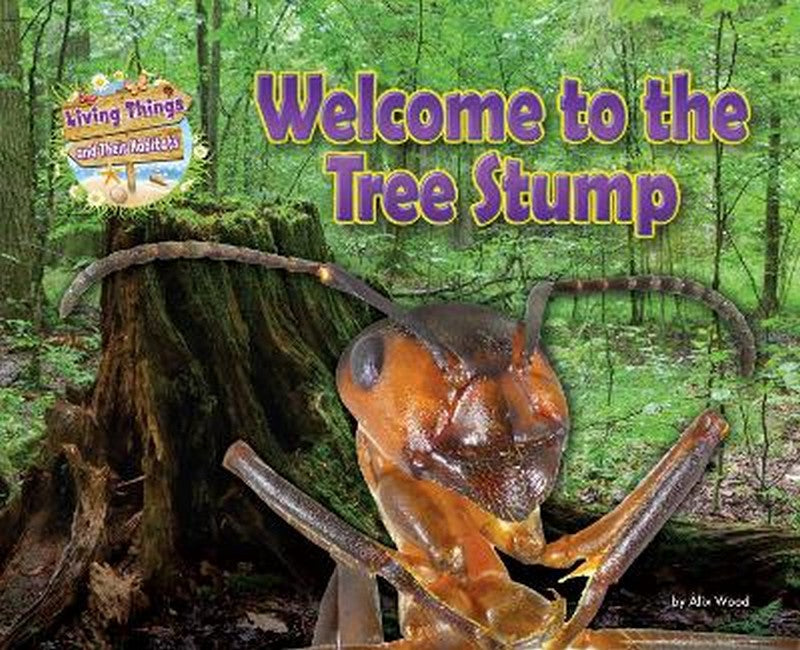 Welcome to the Tree Stump cover