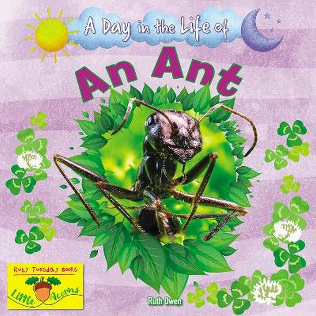 An Ant cover