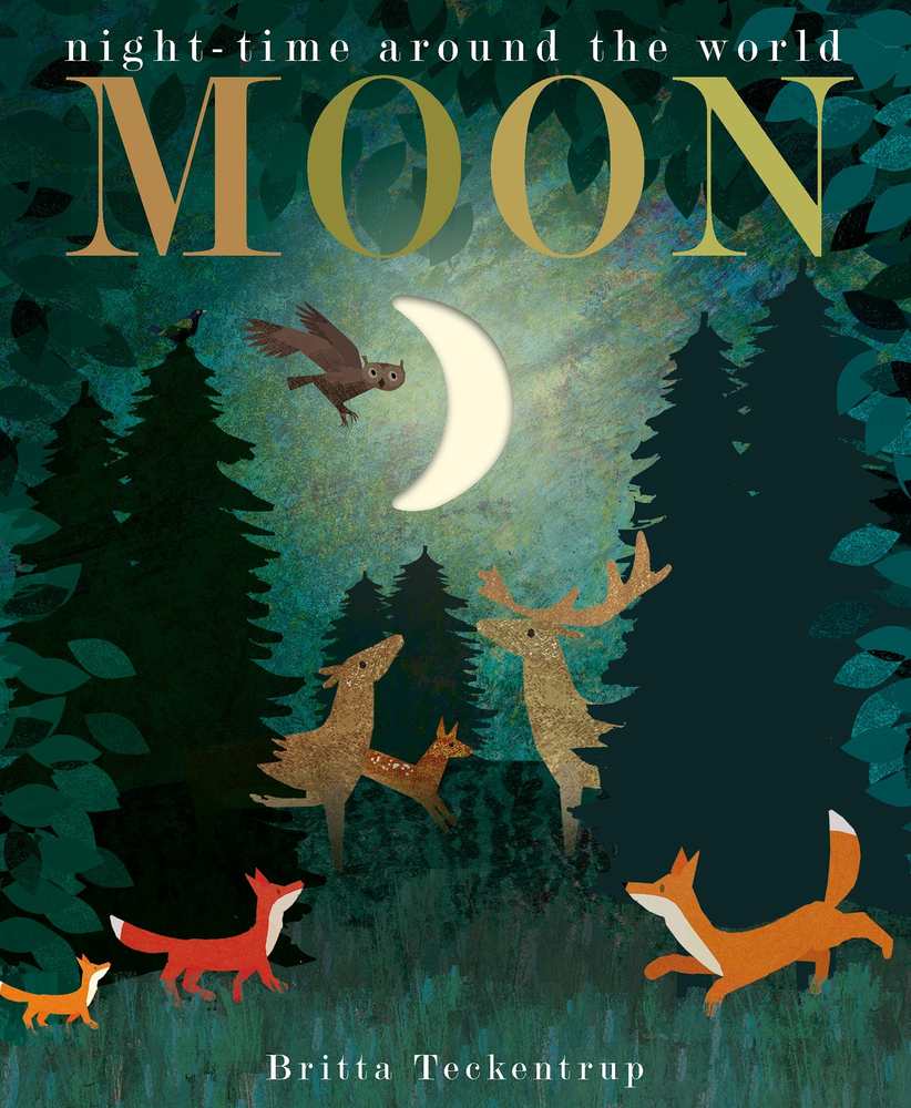 Moon book cover