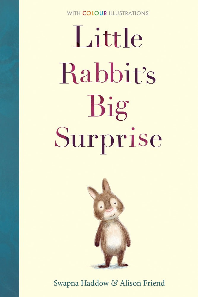 Little Rabbit's Big Surprise book cover