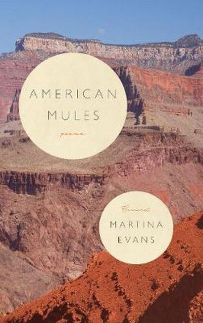 American Mules cover