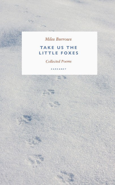Take us the Little Foxes cover