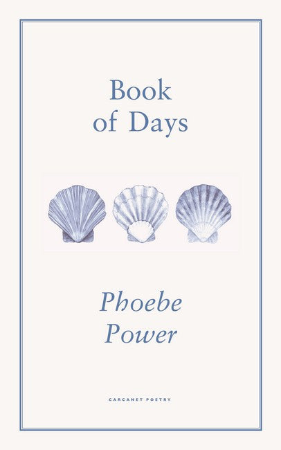 Book of Days cover