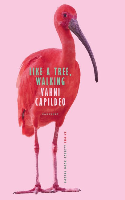 Like a Tree Walking: