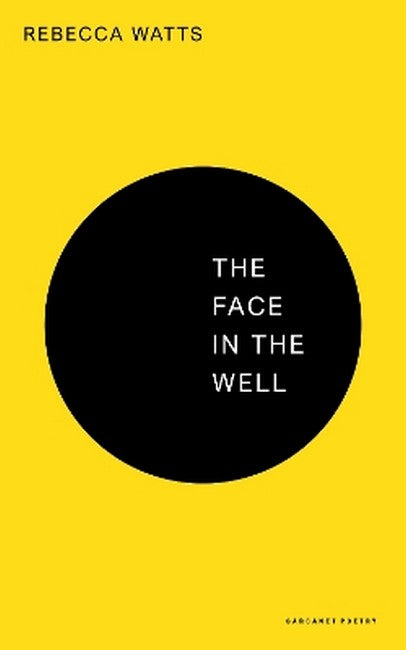 The Face in the Well cover