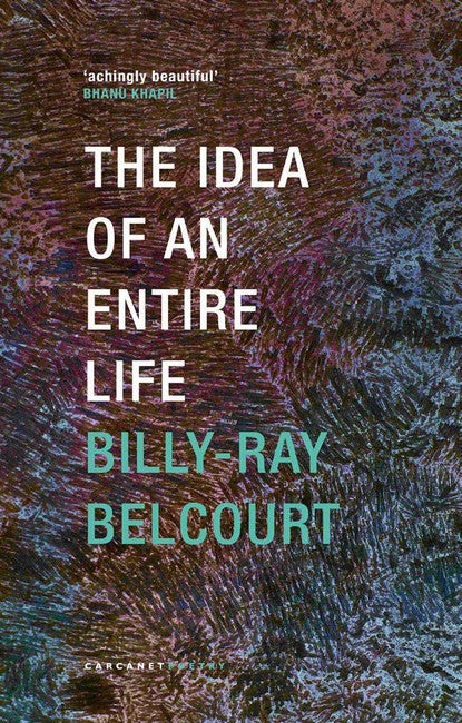 The Idea of an Entire Life cover