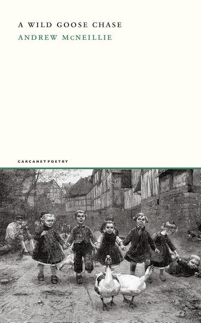 A Wild Goose Chase cover