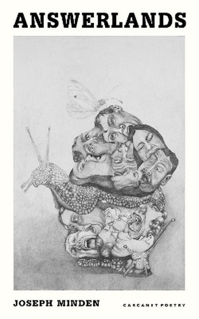 Answerlands cover