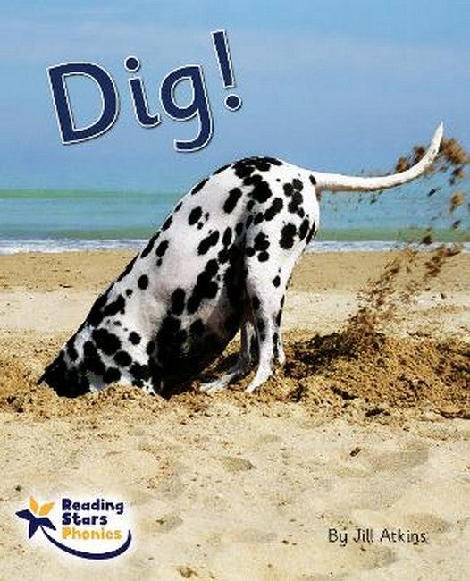 Dig! cover
