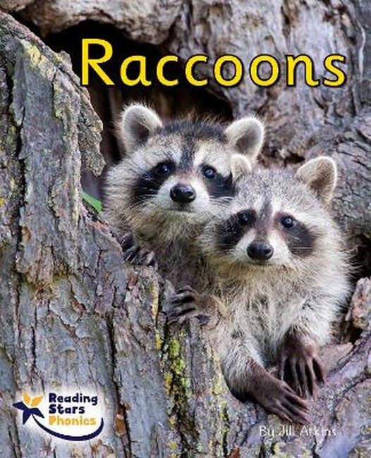 Raccoons cover