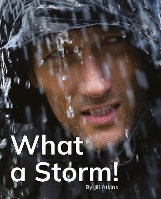 What a Storm! cover