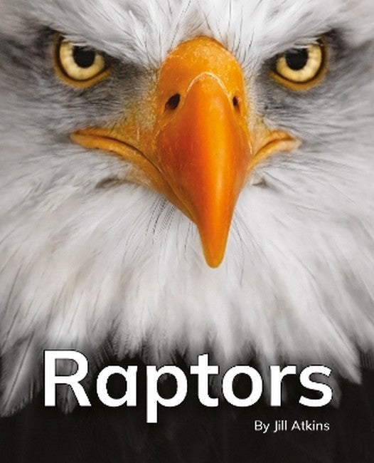 Raptors cover