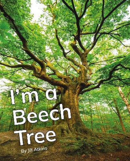 I'm a Beech Tree cover