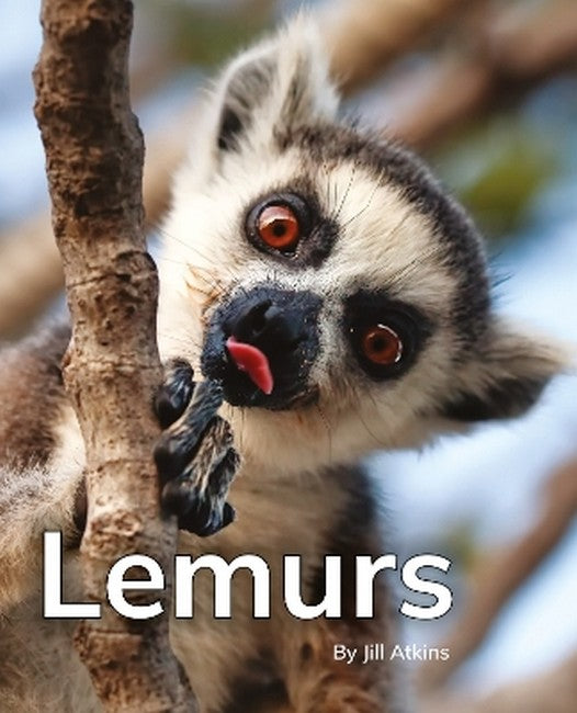 Lemurs cover