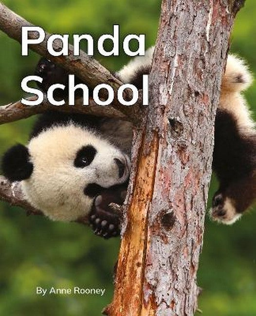 Panda School cover