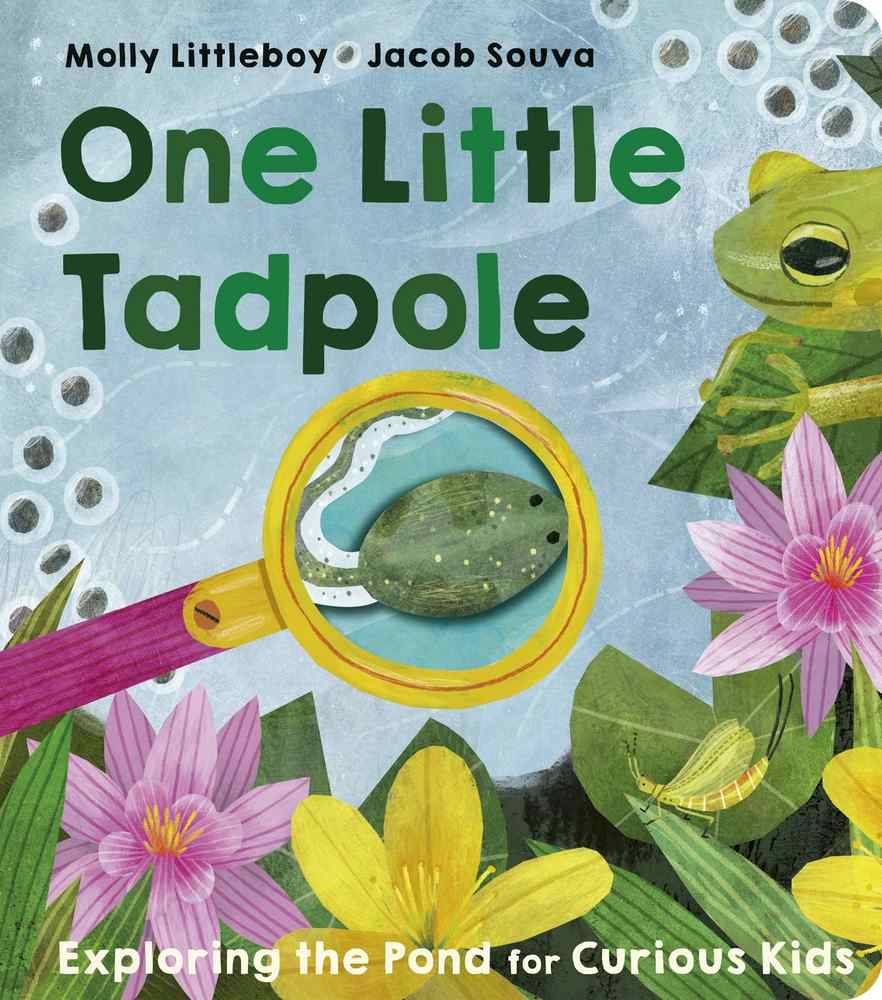 One Little Tadpole book cover
