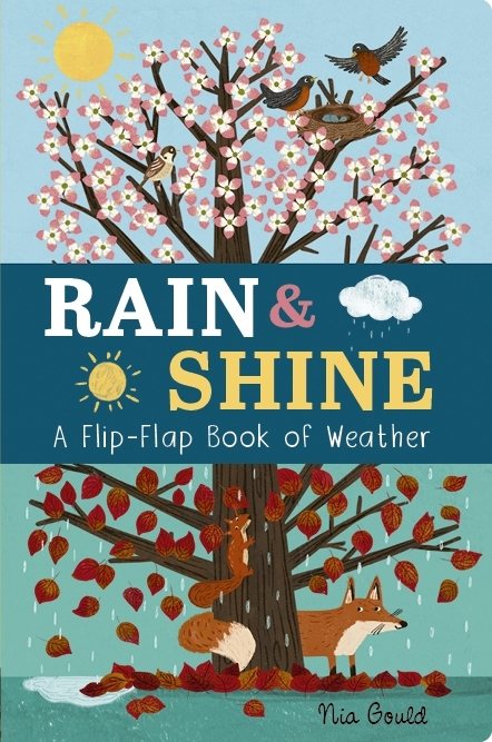 Rain & Shine: A Flip-Flap Book of Weather book cover