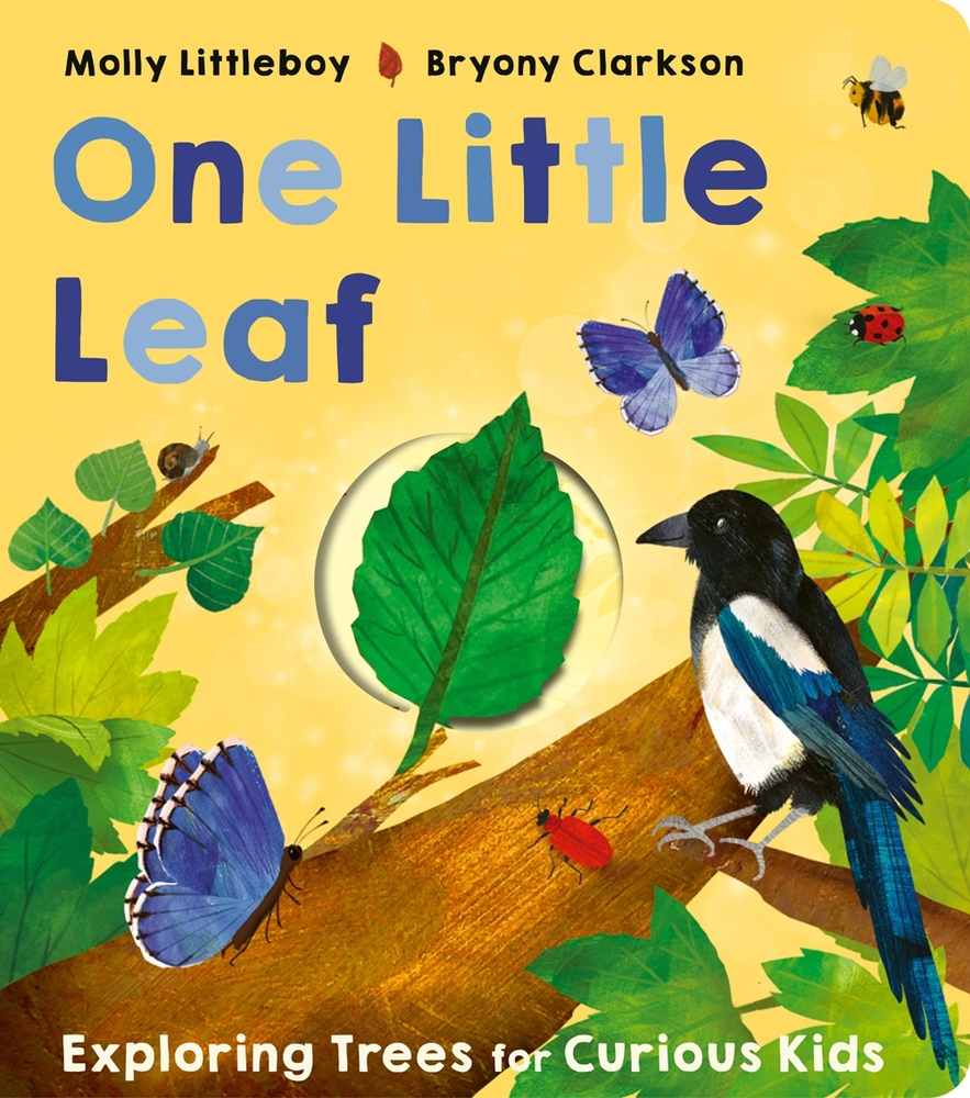 One Little Leaf book cover