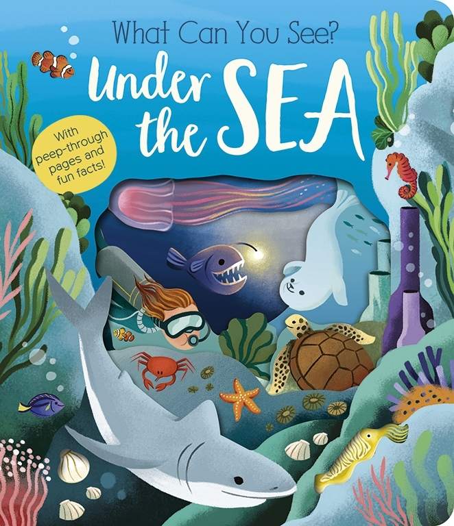 What Can You See? Under the Sea book cover