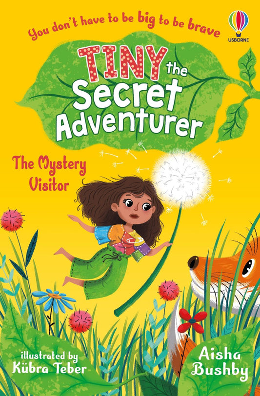 Tiny, The Secret Adventurer: The Mystery Visitor