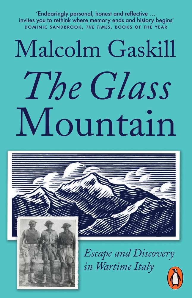 The Glass Mountain book cover