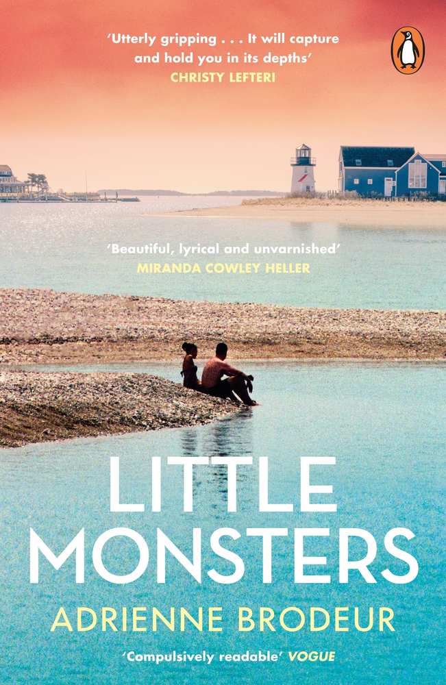 Little Monsters book cover