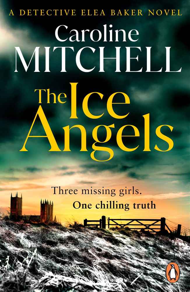 The Ice Angels book cover