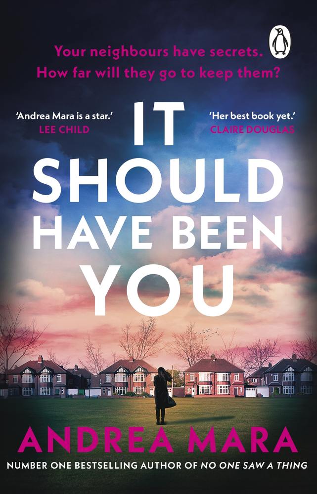 It Should Have Been You book cover