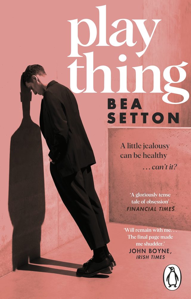 Plaything book cover