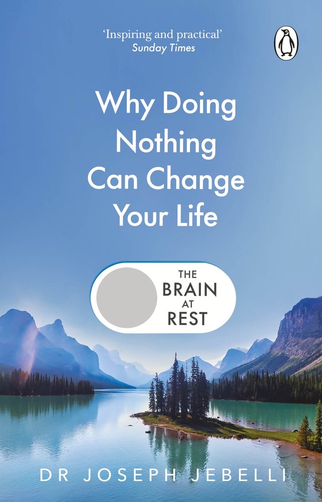 The Brain at Rest book cover