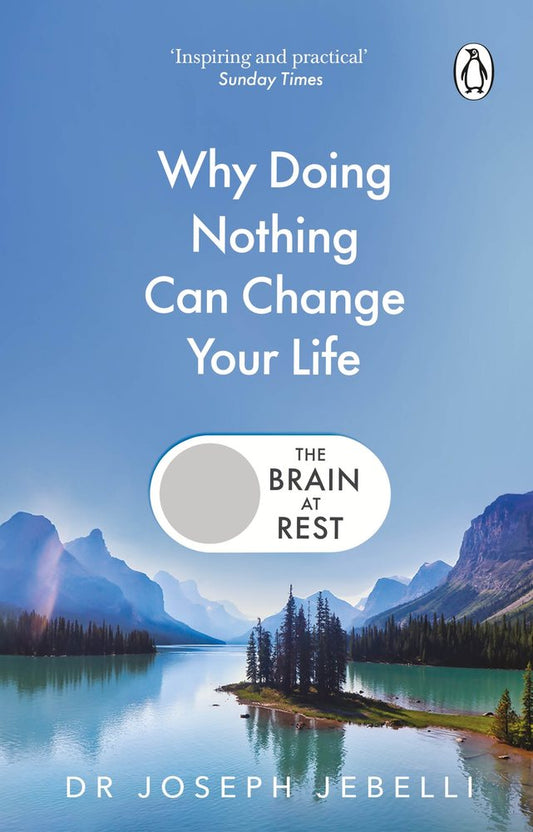 The Brain at Rest book cover