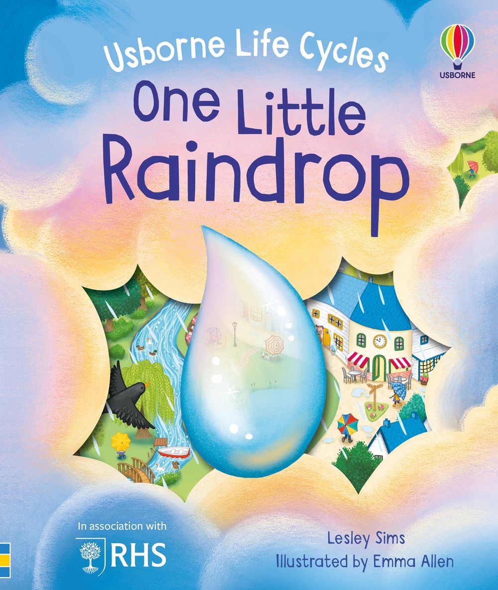 One Little Raindrop: Usborne Life Cycles