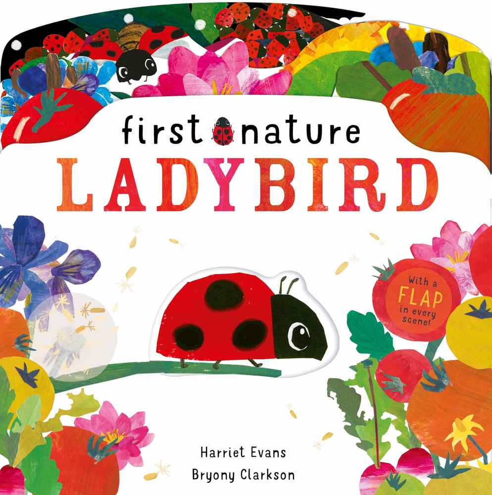 Ladybird book cover
