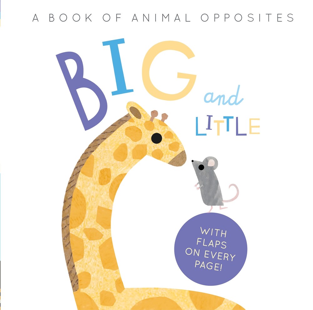 Big and Little book cover