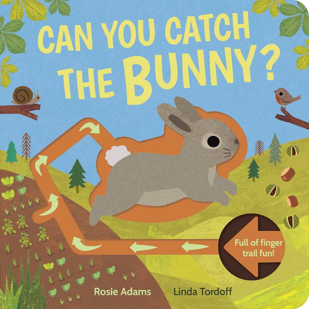 Can You Catch the Bunny? book cover