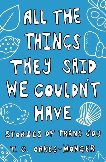 All the Things They Said We Couldn't Have cover
