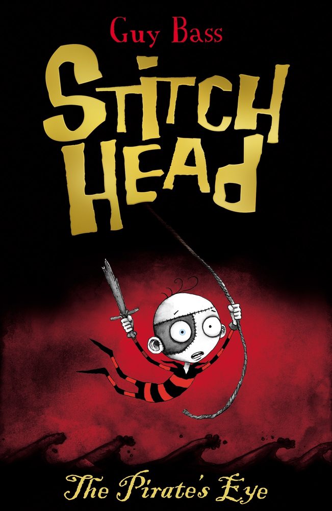 The Pirate's Eye book cover