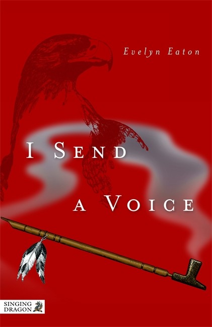 I Send a Voice cover