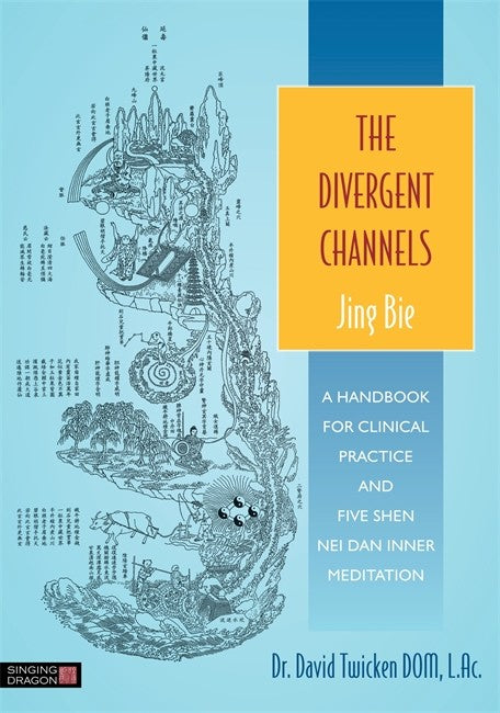 The Divergent Channels - Jing Bie cover