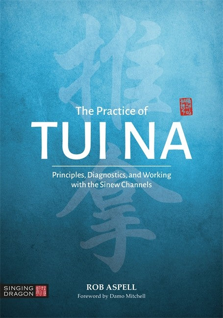The Practice of Tui Na cover