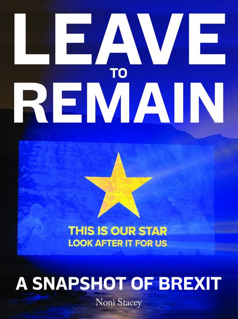 Leave to Remain cover